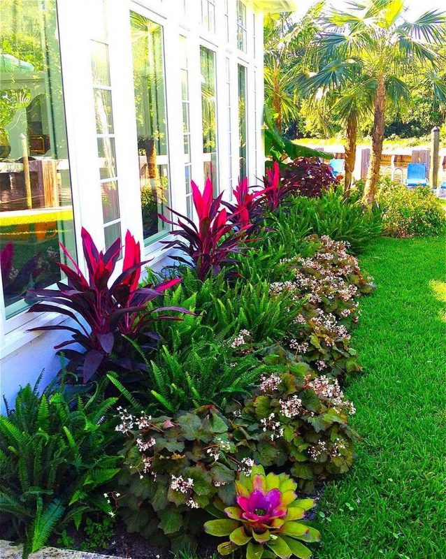 Neatly Arranged Shrubs