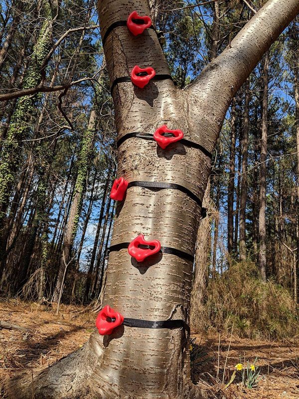 Ninja Tree Climbers