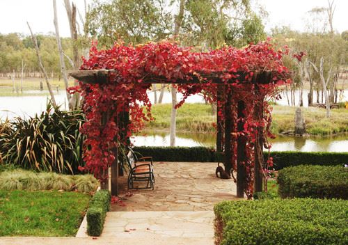 simple fall landscape ideas