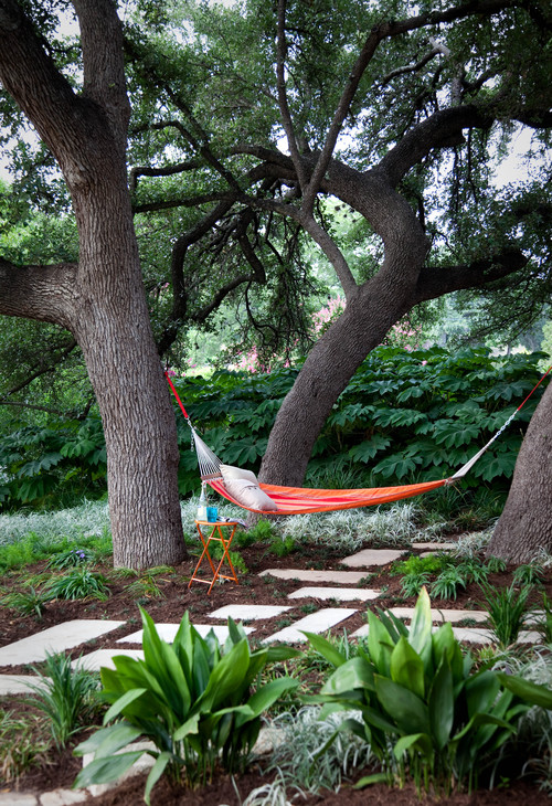 hammock hanging tree hooks