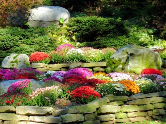 simple fall Rainbow ideas