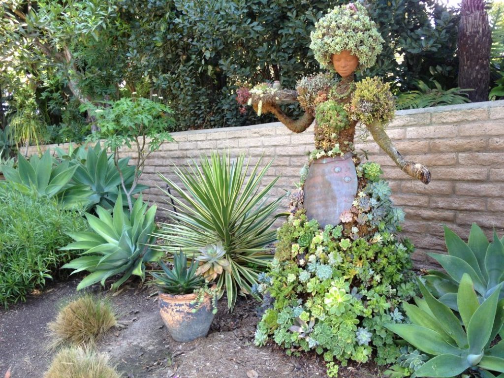 Ladylike Cactus Garden