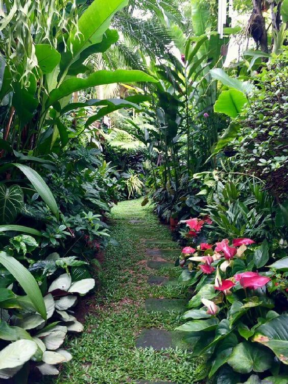 fresh landscape backyard