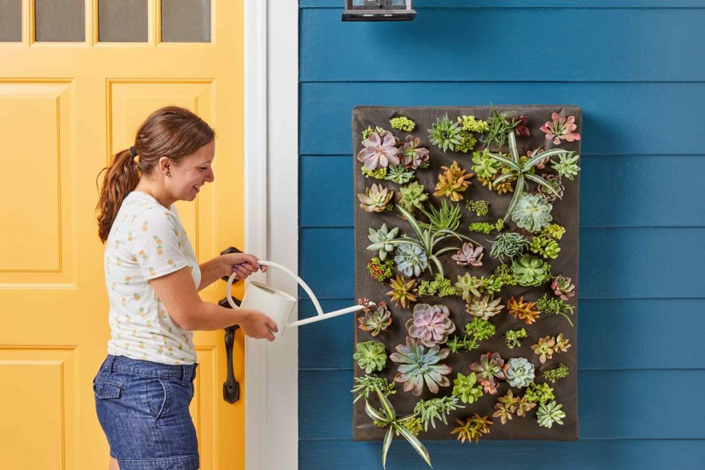The Wall Cactus Garden ideas
