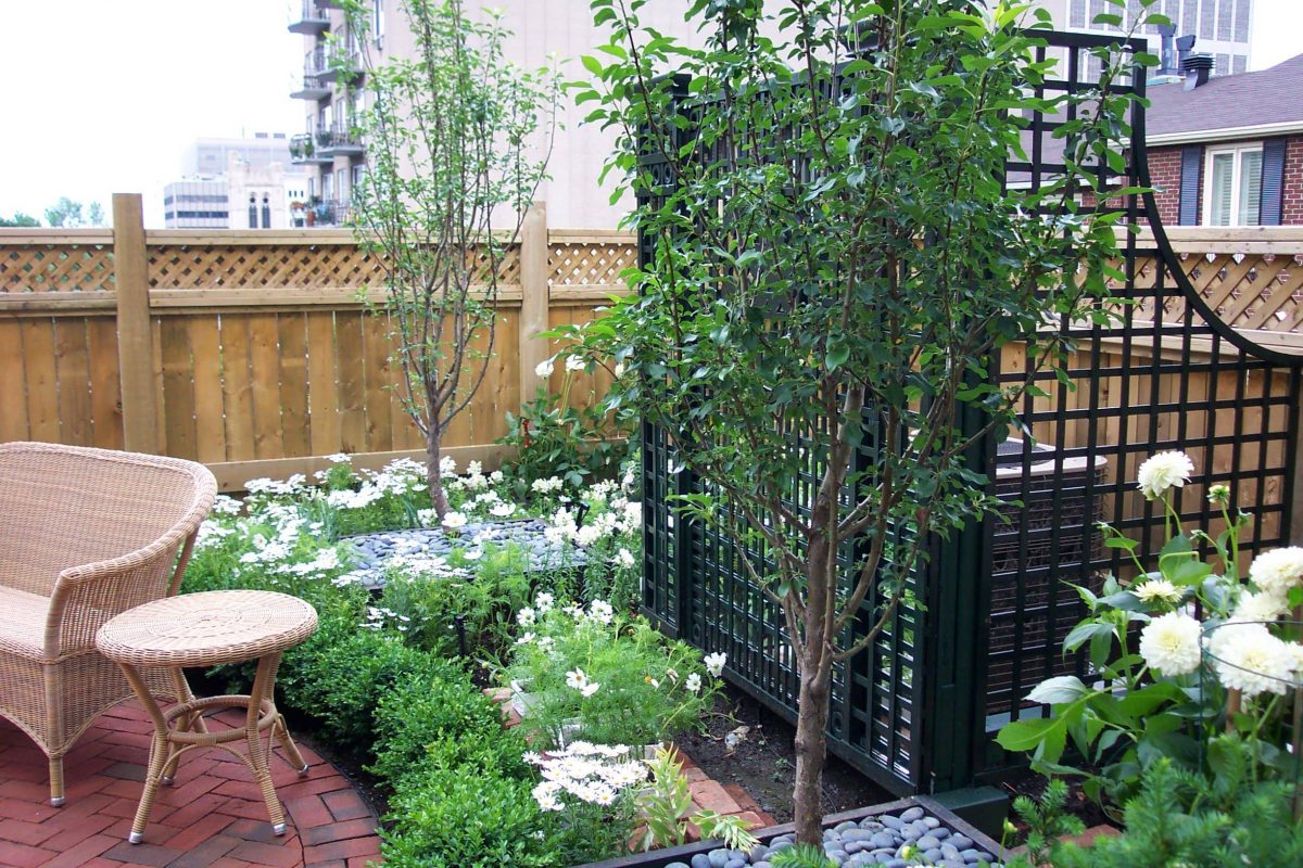 Hiding the AC with Simple Trellis