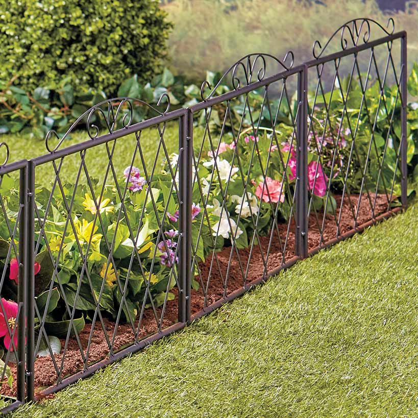 Scrolled Metal Garden Fence