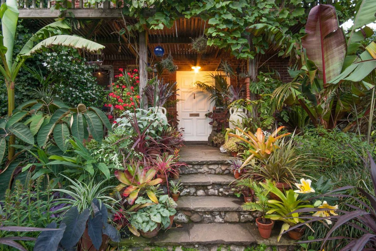 Bright Tropical Garden