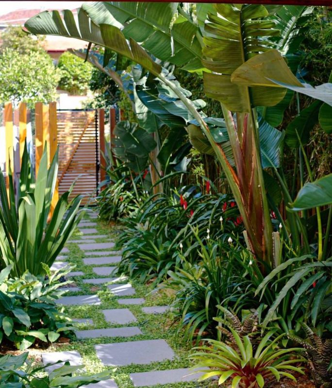 Dress up your standard walkway with paver borders