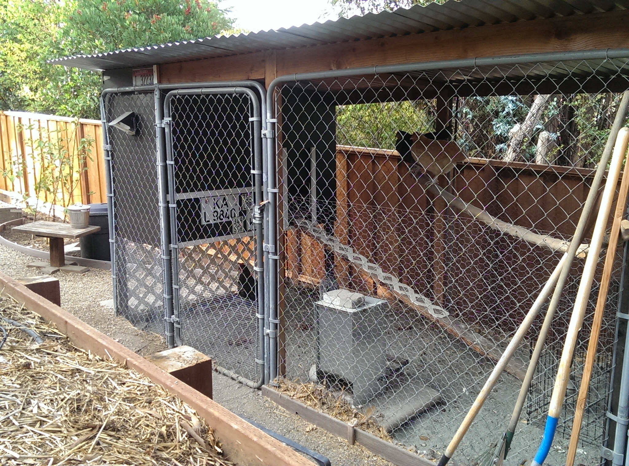 Chain Link Chicken Fence Ideas