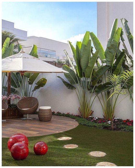 large tropical backyard minim