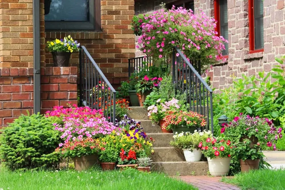 5 Container Garden Designs for Beautiful Flowering Plants