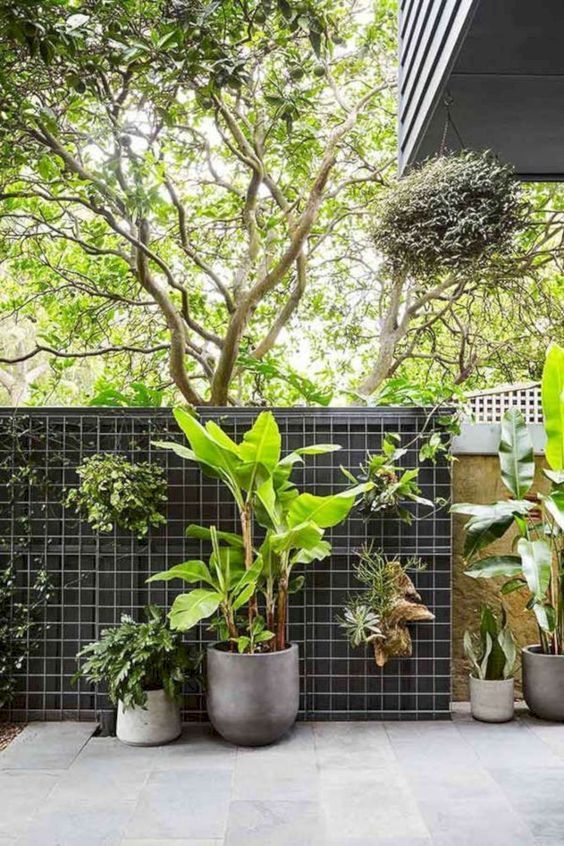 tropical vertical garden plants