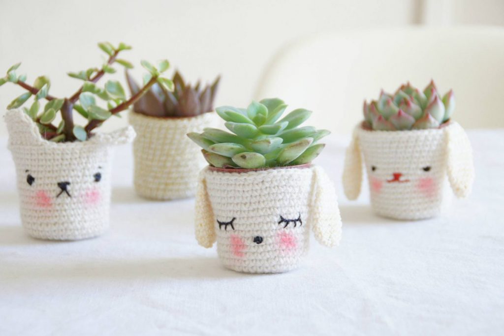florida cactus garden ideas