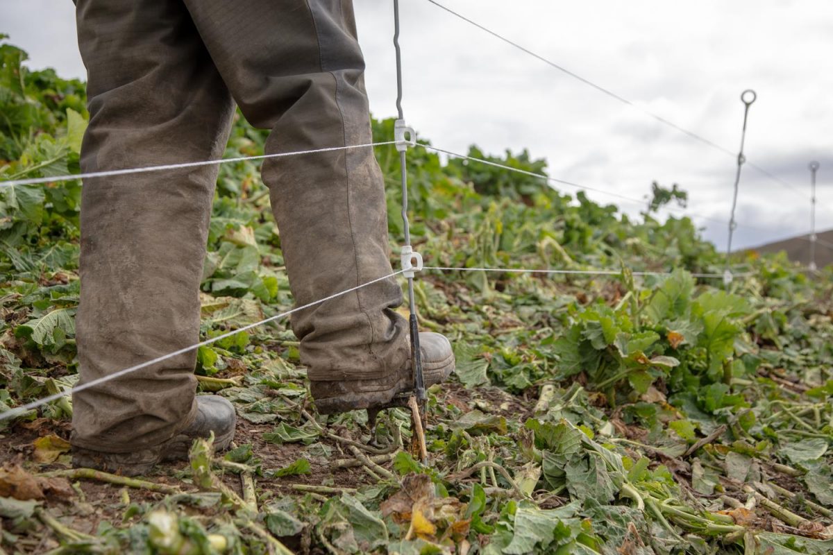 temporary fencing kit