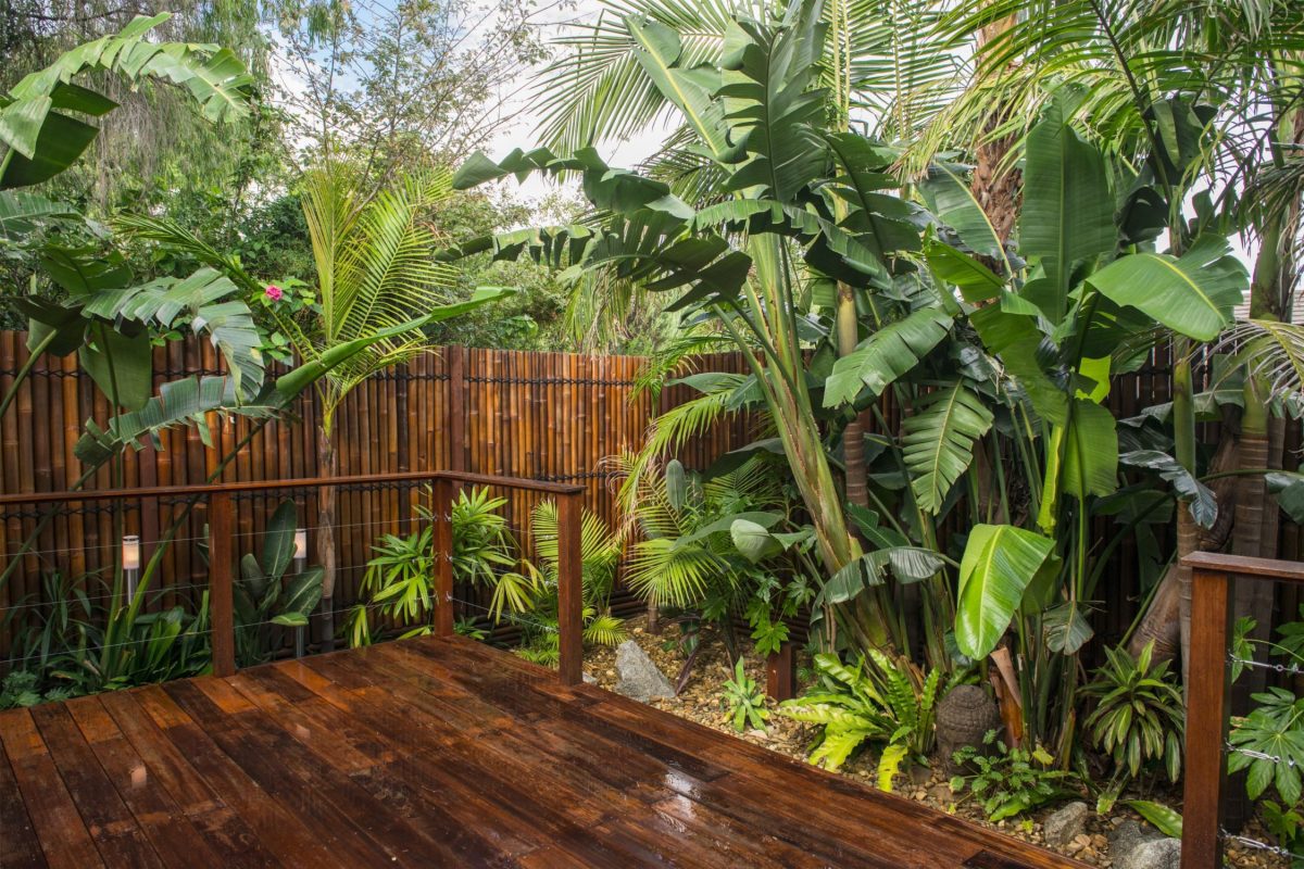 tropical garedn idea