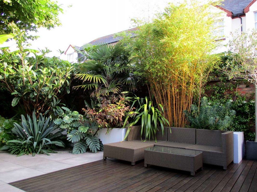 tropical resort backyard
