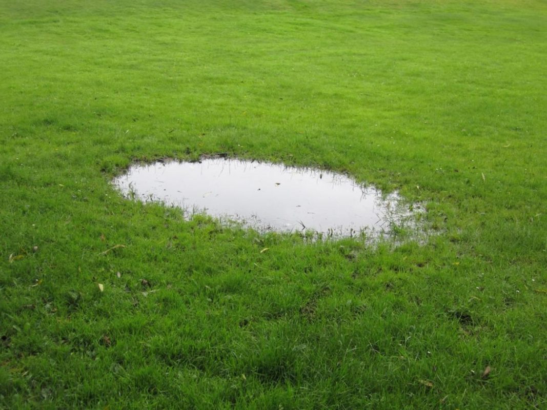 Foolproof Ways on How to Dry up a Wet Yard
