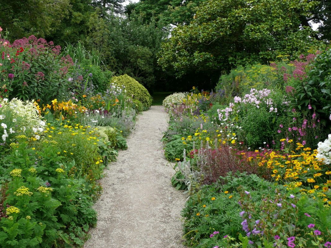 Landscaping Ideas for Wet Backyard with Flowering Shrubs