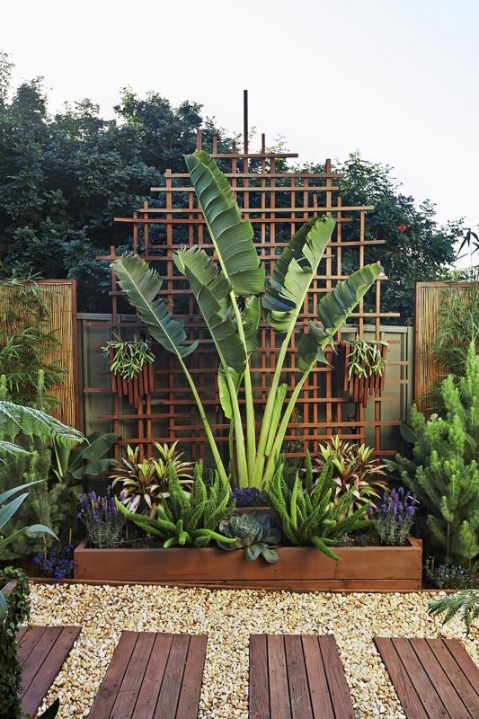 Gorgeous Tropical Plant Bed