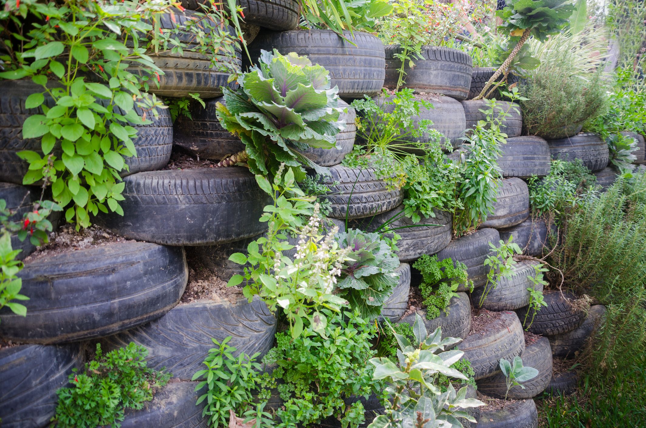 Rustic Tire Fences