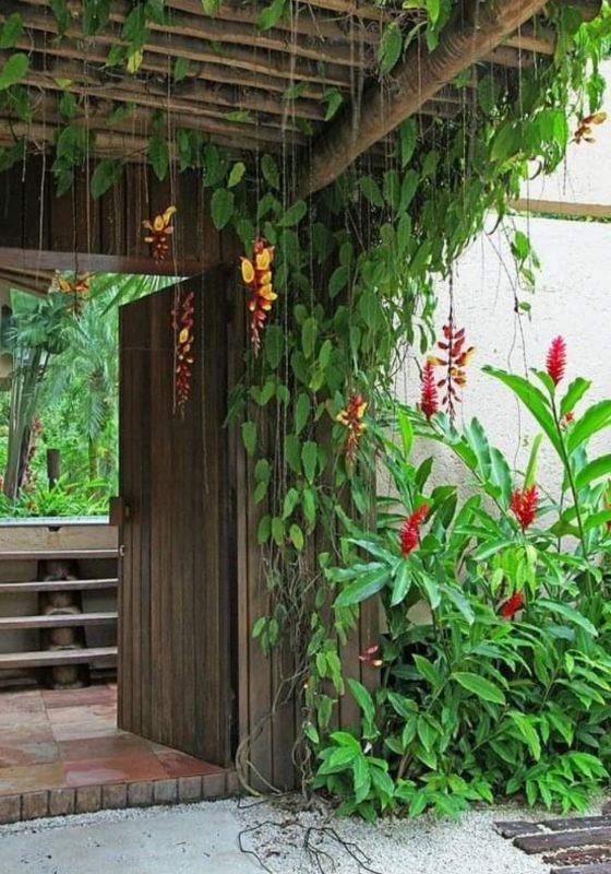 tropical pergola ideas