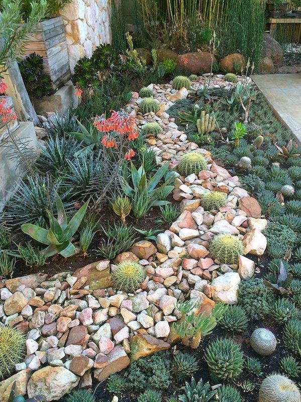 green pathways cactus garden 