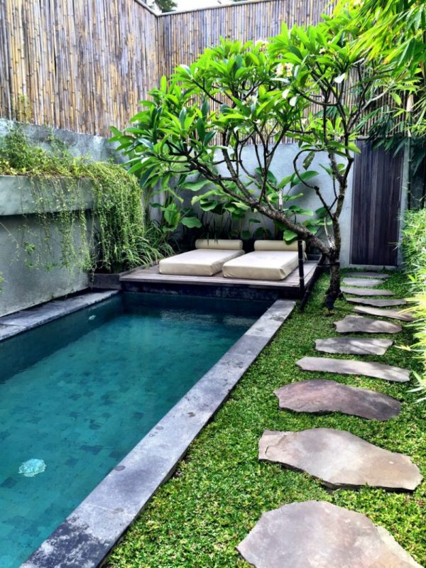 backyard tropical paradise ideas