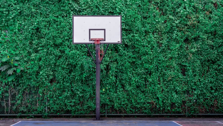 Natural Backsplash Court