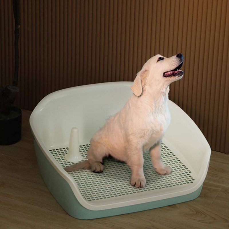 How to Choose the Right Indoor Toilet for Dogs