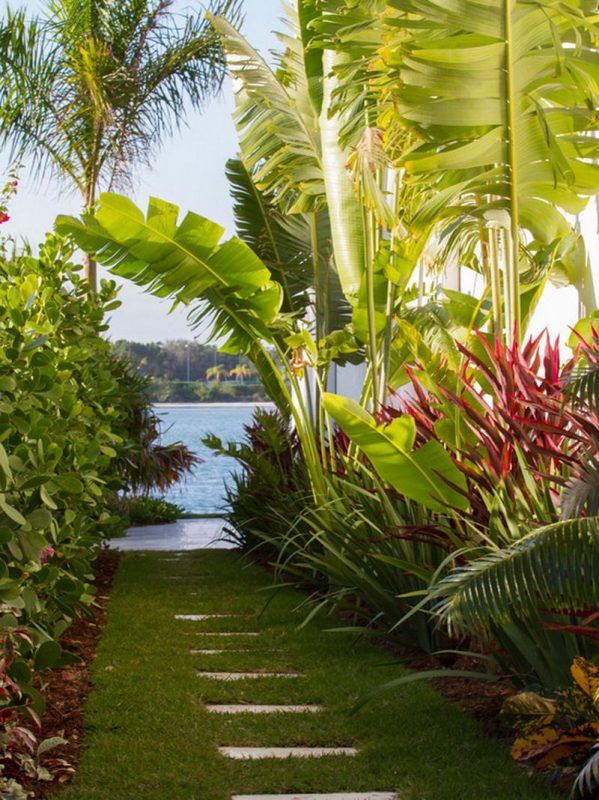 Enchanting Banana Trees