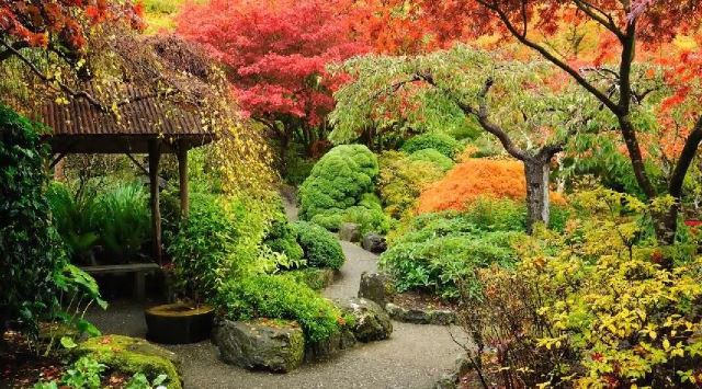 fall/winter landscaping ideas