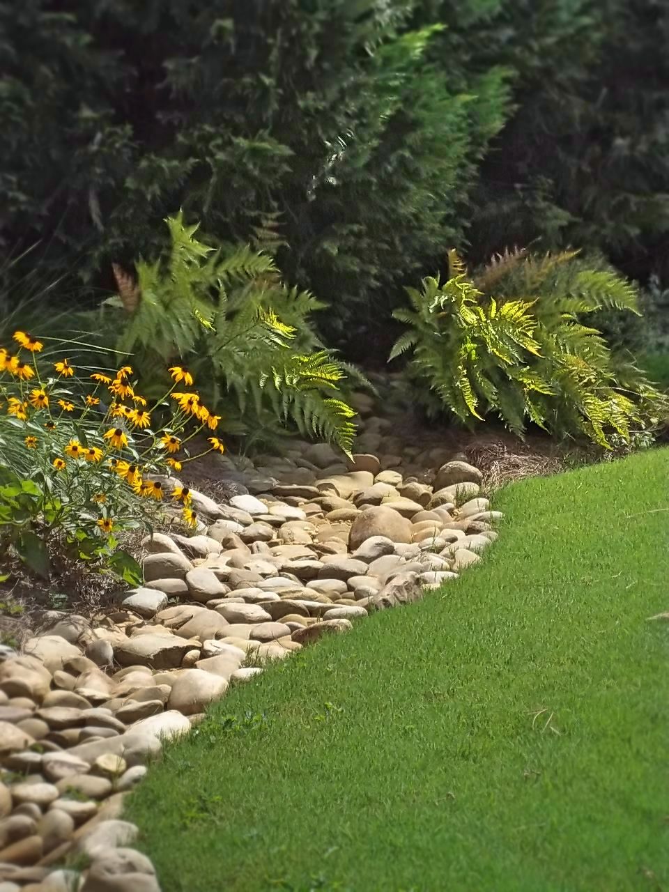 Include Grass in Your Wooded Backyard Ideas