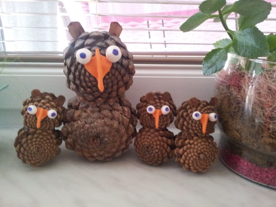 The Pine Owl School Garden Ideas