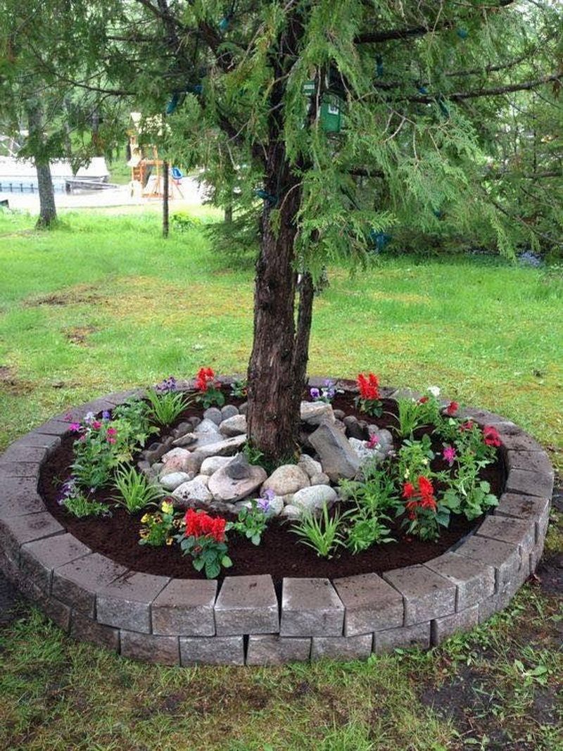 Landscape around the Tree