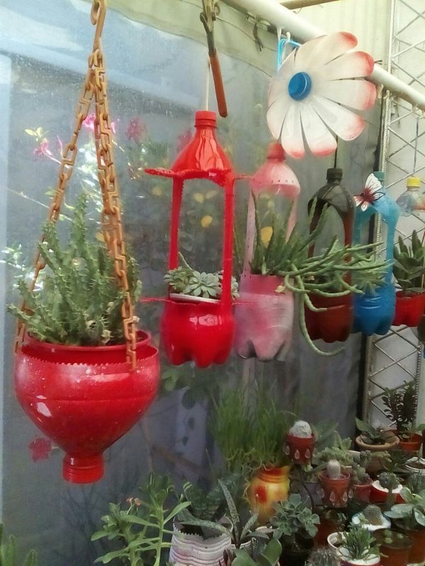 The Lantern Bottle