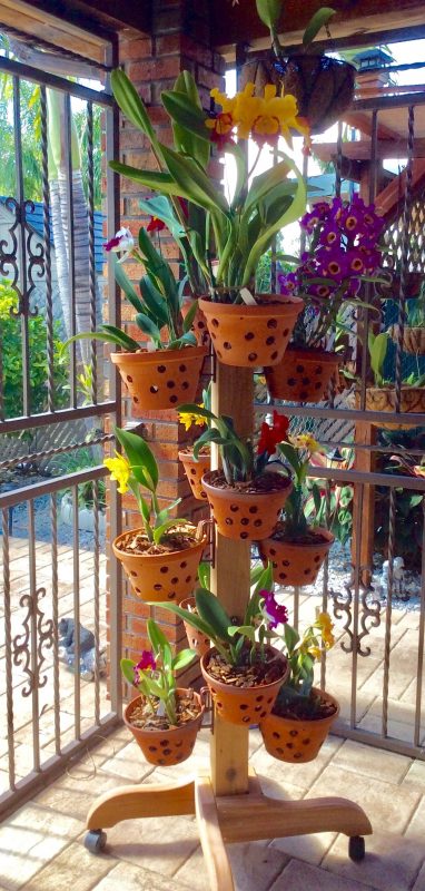 The Flower Tower School Garden Ideas
