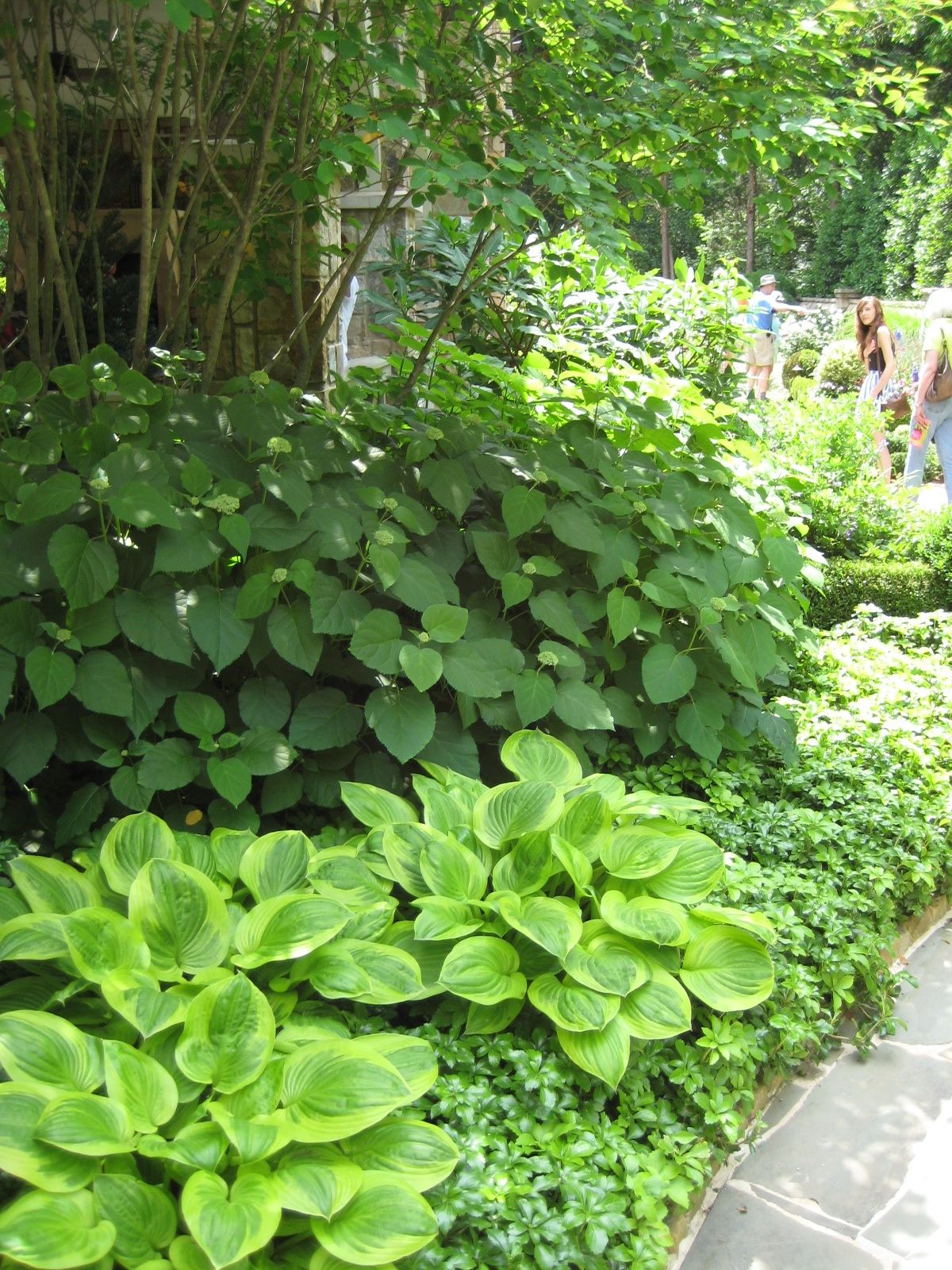 Add a Layer of Vegetation