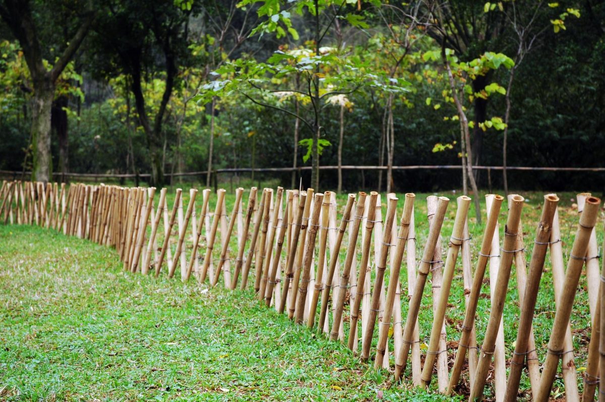 25 Bamboo Fence Ideas For Privacy And Aesthetic In Backyard