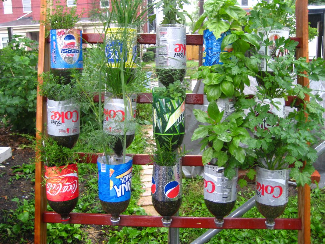 The Pinned Up Bottle