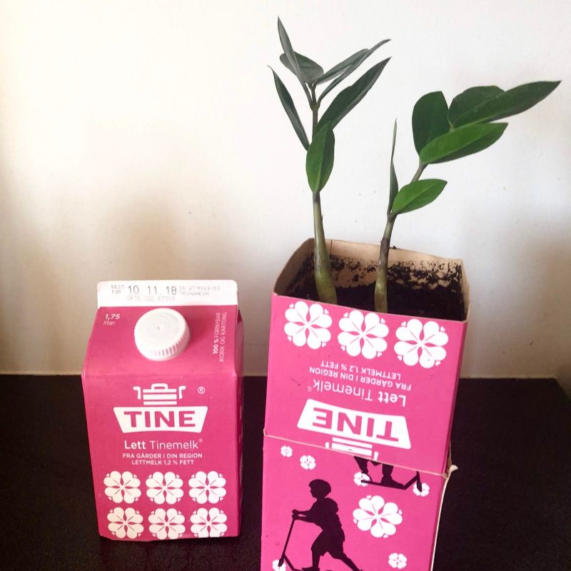 The Milk Box Pot