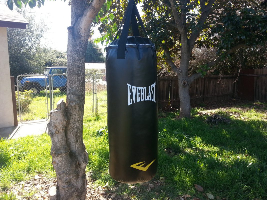 Hanging Boxing Bag Ideas IUCN Water