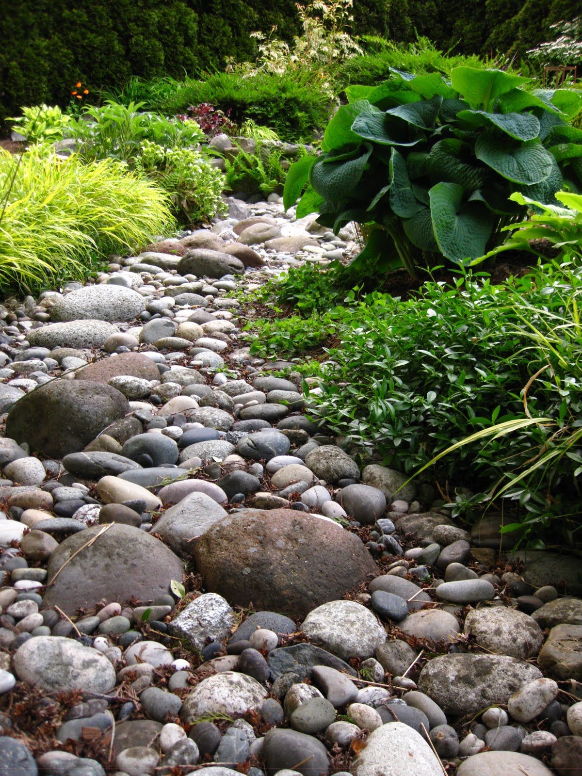 Take Advantage of Existing Wet Area