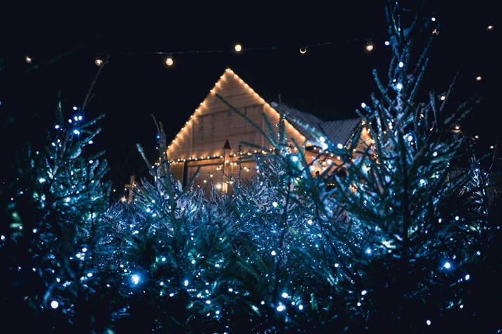 Create a Glittering Garden