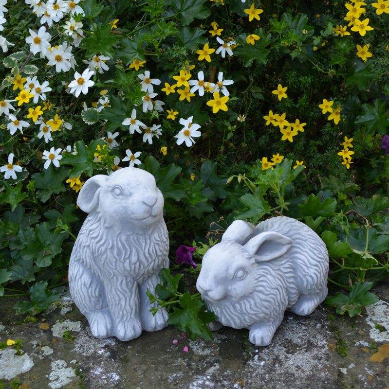 The Rabbit Family