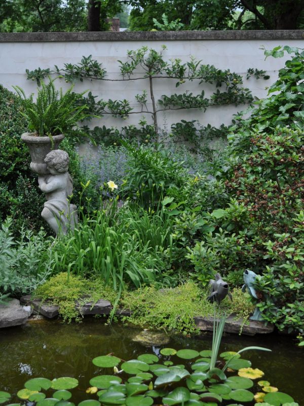 Natural Pond with Various Greeneries