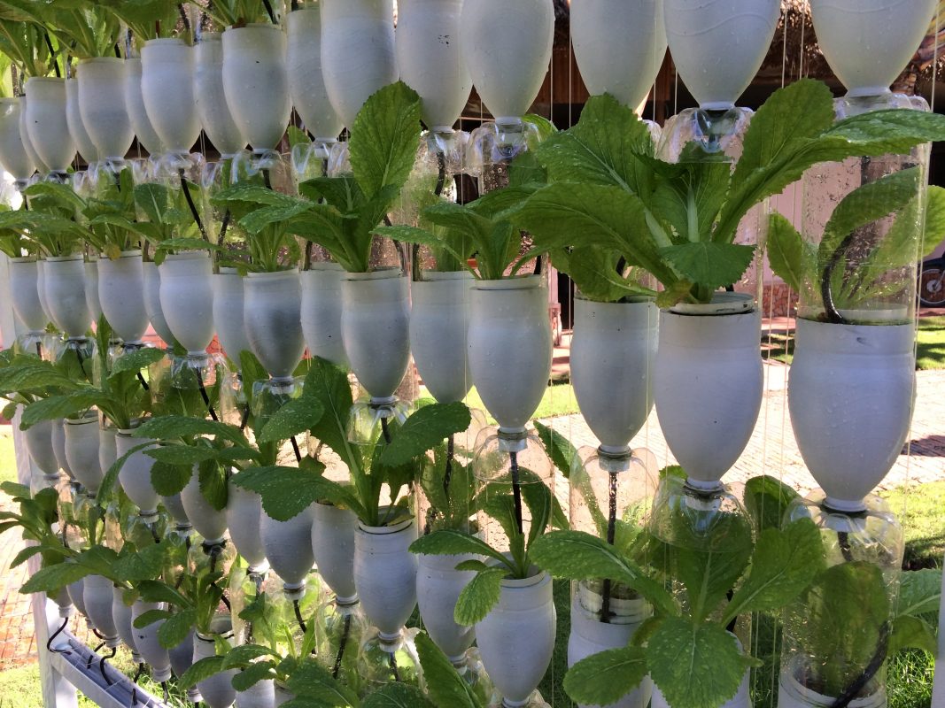 The Hanging Bottle