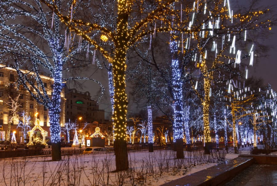Wrapping Branches ant Trunks with Rope Lights