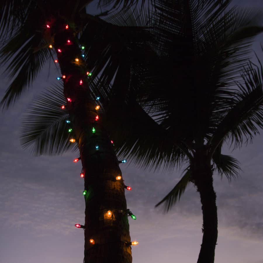 Wrapping Tree with Rope Lights